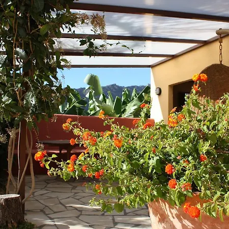 Apartment La Cruz *